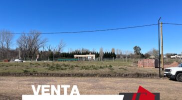 Lote calle 502
