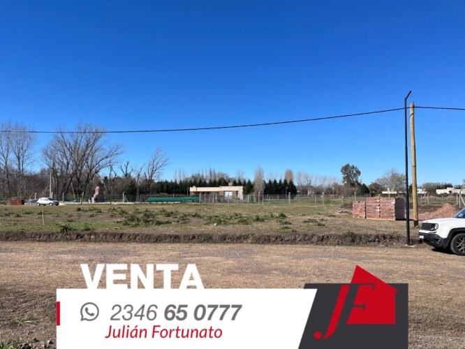 Lote calle 502