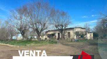 Hectáreas mas Casa antigua!!