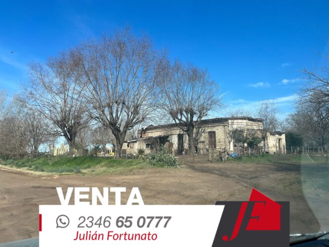 Hectáreas mas Casa antigua!!