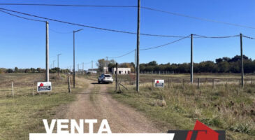 Lote San Emilio