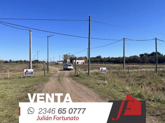 Lote San Emilio