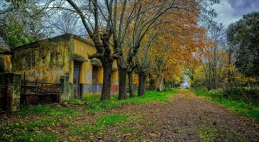 Casa en Henrry Bell