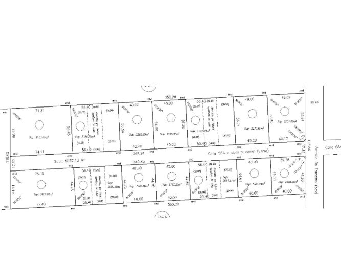 Lote San Emilio